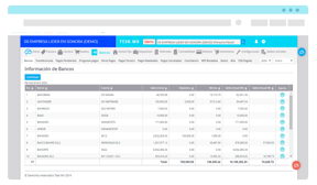 Software administrativo para generar el flujo de caja proyectado